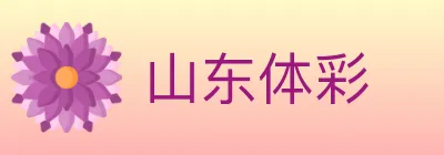 山东体彩 logo